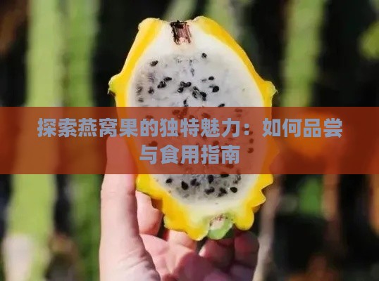 探索燕窝果的独特魅力：如何品尝与食用指南