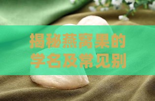 揭秘燕窝果的学名及常见别名：全方位了解其真实身份与营养价值