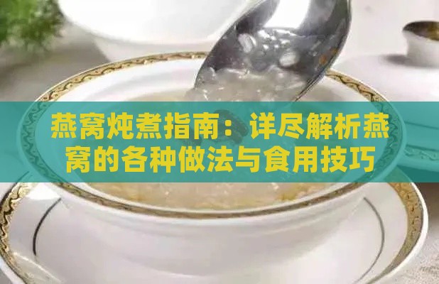 燕窝炖煮指南：详尽解析燕窝的各种做法与食用技巧