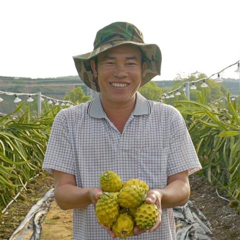 燕窝延长术后什么期间吃更好：术后恢复期食用时机与好处