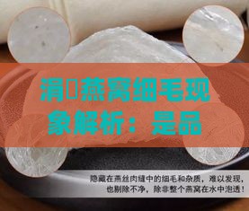 涓嶅燕窝细毛现象解析：是品质保证还是问题所在？