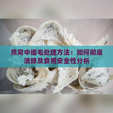 燕窝中细毛处理方法：如何彻底清除及食用安全性分析