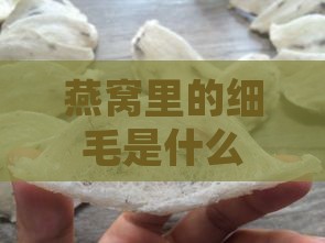 燕窝里的细毛是什么