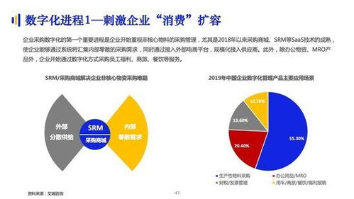 当前市场燕窝价格探秘：品质与价位详解