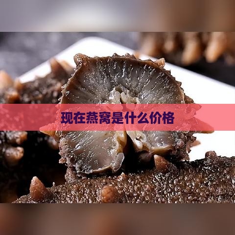 现在燕窝是什么价格