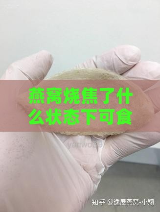 燕窝烧焦了什么状态下可食用及味道变化分析