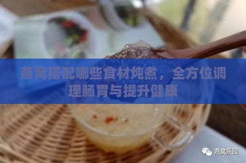 燕窝搭配哪些食材炖煮，全方位调理肠胃与提升健康