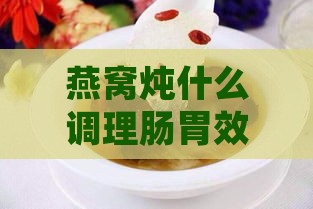 燕窝炖什么调理肠胃效果好：推荐食谱与食用方法