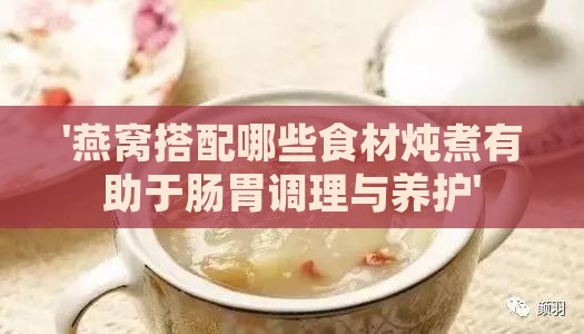 '燕窝搭配哪些食材炖煮有助于肠胃调理与养护'