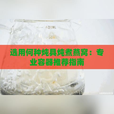 选用何种炖具炖煮燕窝：专业容器推荐指南