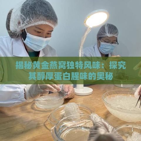 揭秘黄金燕窝独特风味：探究其醇厚蛋白腥味的奥秘