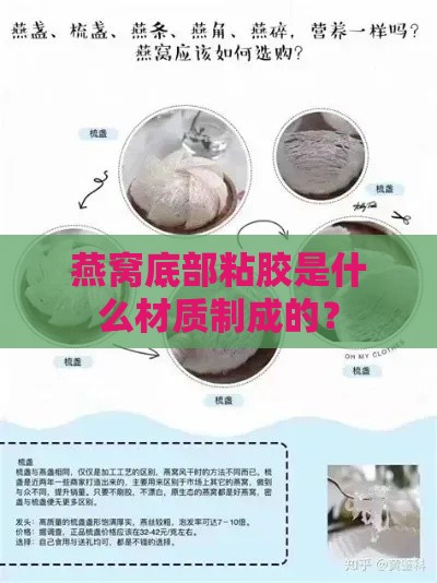 燕窝底部粘胶是什么材质制成的？