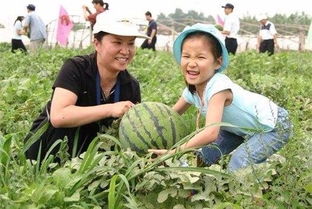 燕窝采摘更佳时机：揭秘雨季对燕窝质量的影响与采集要点