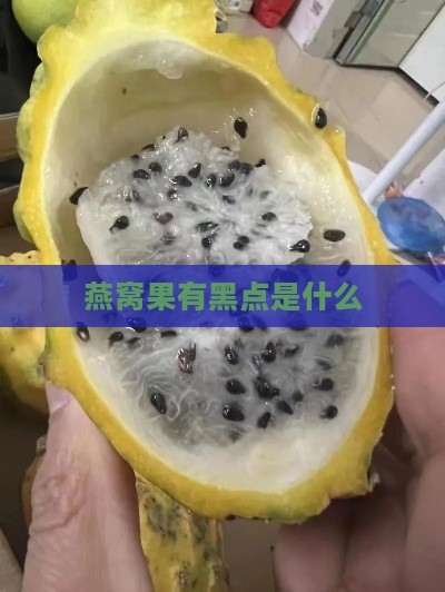 燕窝果有黑点是什么