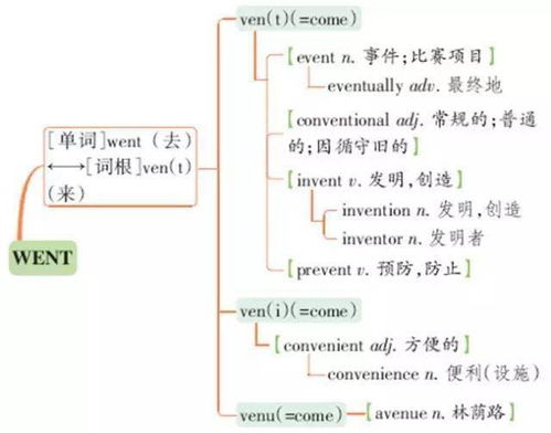 燕窝联想：盘点那些与燕窝紧密相关的词语