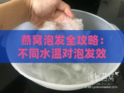 燕窝泡发全攻略：不同水温对泡发效果的影响与更佳实践方法