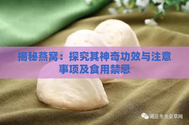 揭秘燕窝：探究其神奇功效与注意事项及食用禁忌