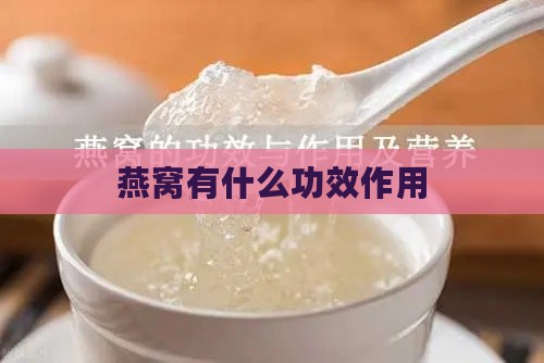 燕窝有什么功效作用