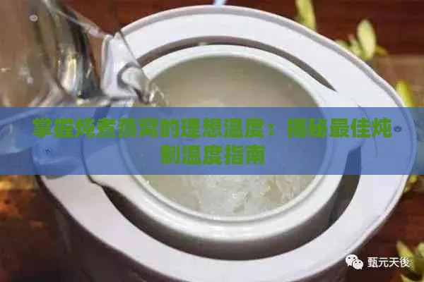 掌握炖煮燕窝的理想温度：揭秘更佳炖制温度指南