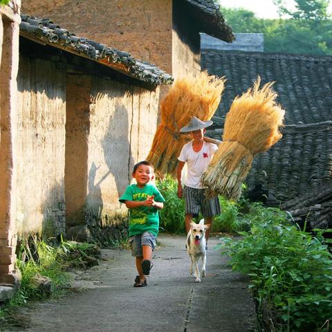 燕窝什么价位拍照好看又实惠合适