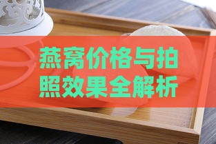 燕窝价格与拍照效果全解析：如何选择性价比高的燕窝摄影器材