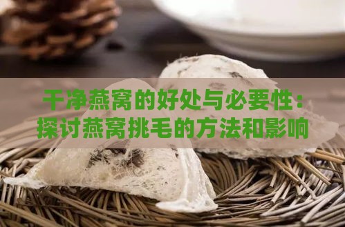 干净燕窝的好处与必要性：探讨燕窝挑毛的方法和影响