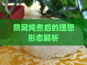 燕窝炖煮后的理想形态解析