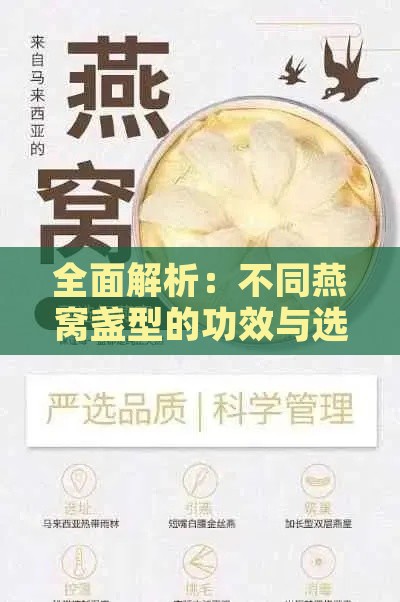 全面解析：不同燕窝盏型的功效与选择指南