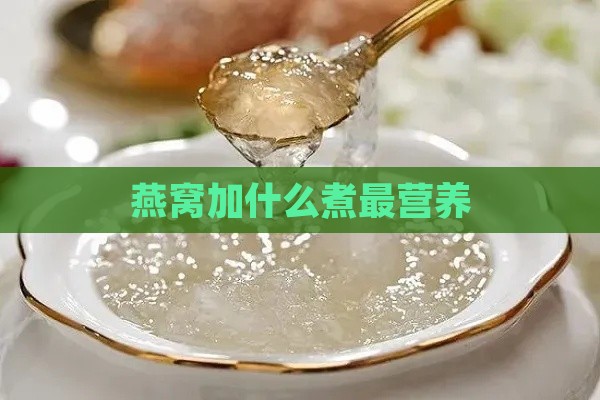 燕窝加什么煮最营养