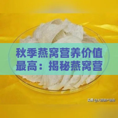 秋季燕窝营养价值更高：揭秘燕窝营养丰富的更佳季节