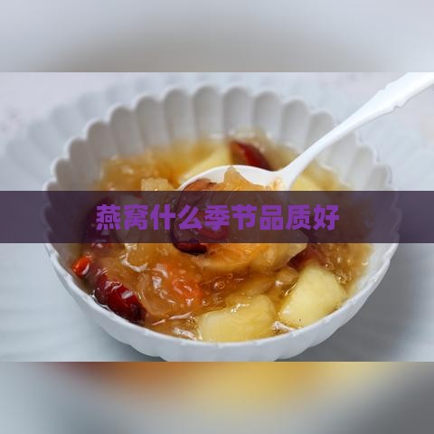 燕窝什么季节品质好