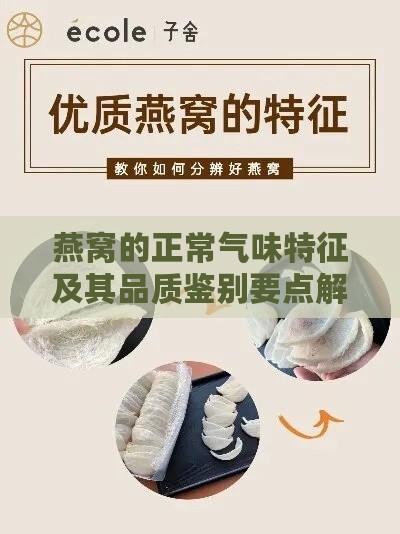 燕窝的正常气味特征及其品质鉴别要点解析