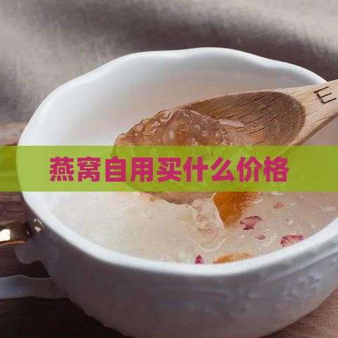 燕窝自用买什么价格