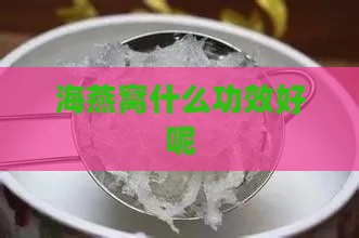 海燕窝什么功效好呢