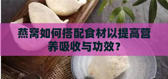 燕窝如何搭配食材以提高营养吸收与功效？