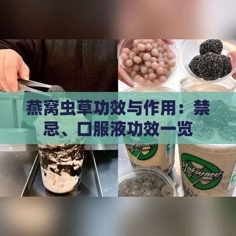 燕窝虫草功效与作用：禁忌、口服液功效一览