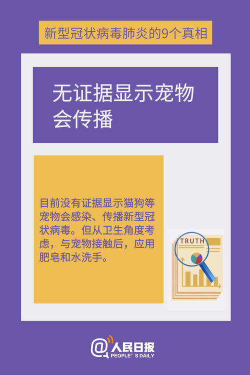 全方位评测：今日牌燕窝品质真相，深度解析用户最关心的五大疑问