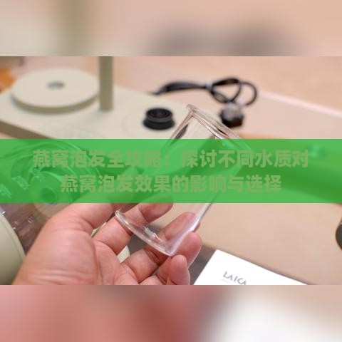 燕窝泡发全攻略：探讨不同水质对燕窝泡发效果的影响与选择