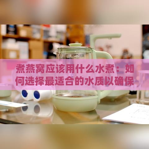 煮燕窝应该用什么水煮：如何选择最适合的水质以确保燕窝口感与营养更大化