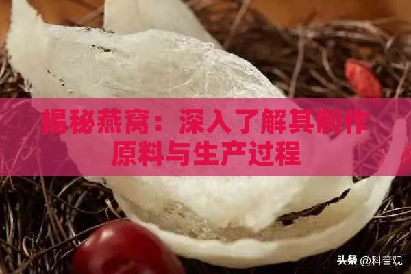 揭秘燕窝：深入了解其制作原料与生产过程