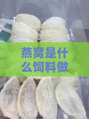 燕窝是什么饲料做的