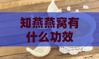 知燕燕窝有什么功效