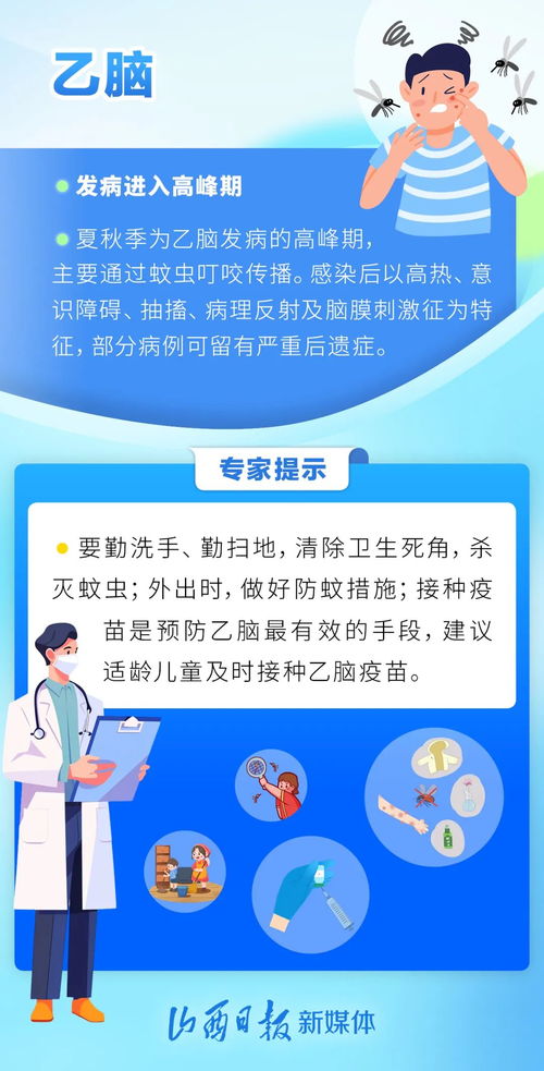 竹燕窝的神奇疗效：全方位解析其对多种疾病的辅助治疗作用