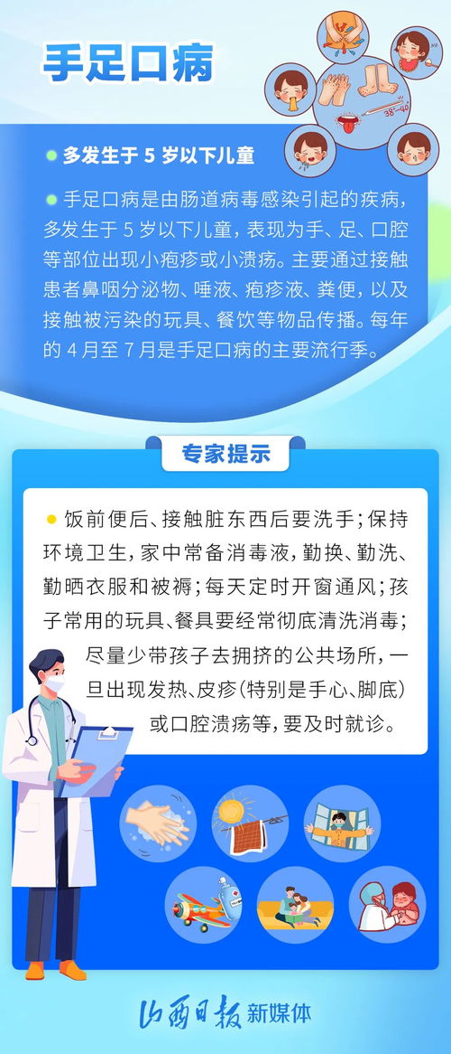 竹燕窝的神奇疗效：全方位解析其对多种疾病的辅助治疗作用