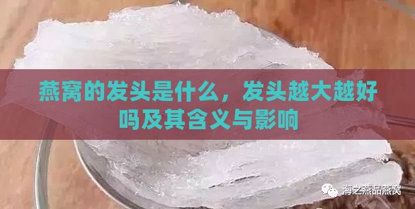 燕窝的发头是什么，发头越大越好吗及其含义与影响