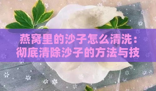 燕窝里的沙子怎么清洗：彻底清除沙子的方法与技巧