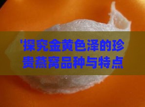 '探究金黄色泽的珍贵燕窝品种与特点'