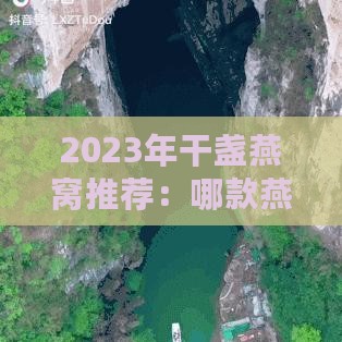 2023年干盏燕窝推荐：哪款燕窝口感醇厚且营养价值高？