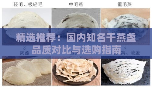 精选推荐：国内知名干燕盏品质对比与选购指南