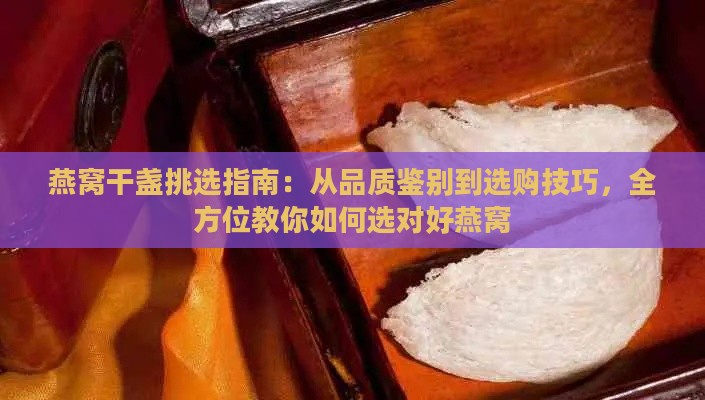 燕窝干盏挑选指南：从品质鉴别到选购技巧，全方位教你如何选对好燕窝